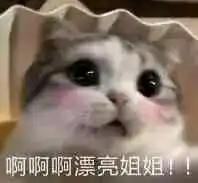 togel hongkong online 2018 Elizabeth memperhatikan mata Hao Ren tiba-tiba melompat: Saya luar biasa! Jangan lihat aku kecil